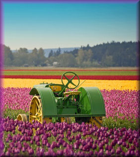 Summer tractor